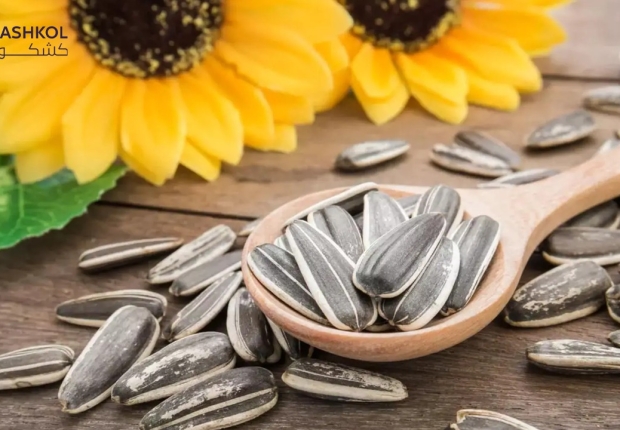 بزر عباد الشمس
