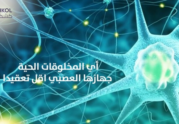 اي المخلوقات الحيه جهازها العصبي اقل تعقيدا