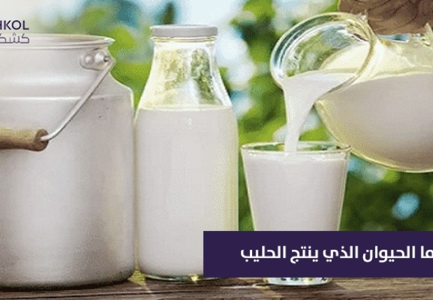 ما الحيوان الذي ينتج الحليب ؟