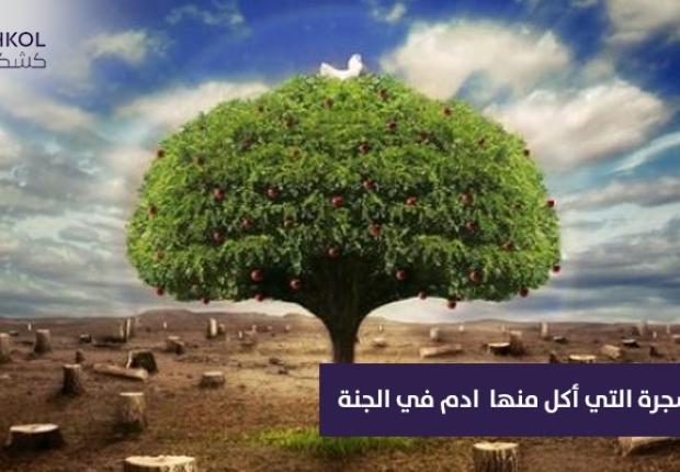 ماهي الشجره التي اكل منها ادم في الجنه ؟