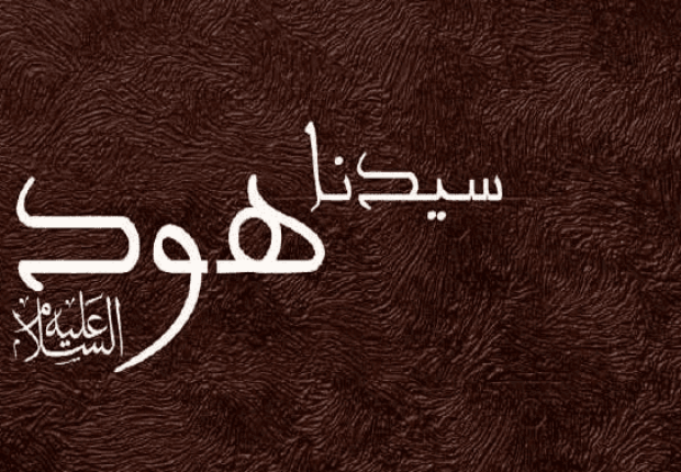 لماذا ذكر هود قومه بقصة نوح
