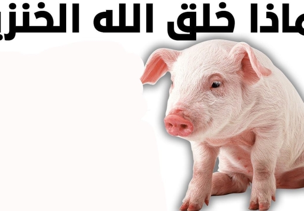 لماذا خلق الخنزير ؟