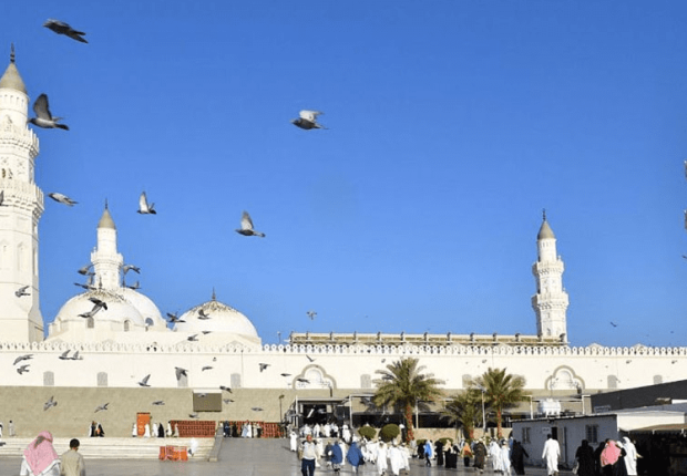 لماذا سمي مسجد قباء بهذا الاسم ؟