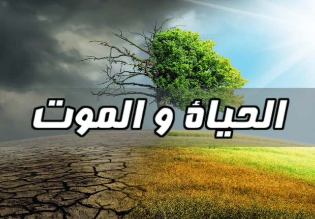 لماذا خلق الله الموت قبل الحياة ؟