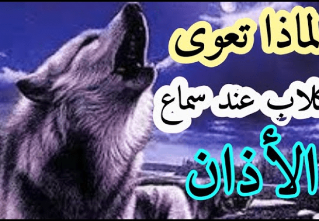 لماذا تعوي الكلاب عند سماع الاذان ؟
