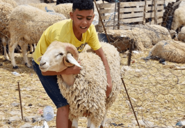 كم باقي على عيد الأضحى ؟