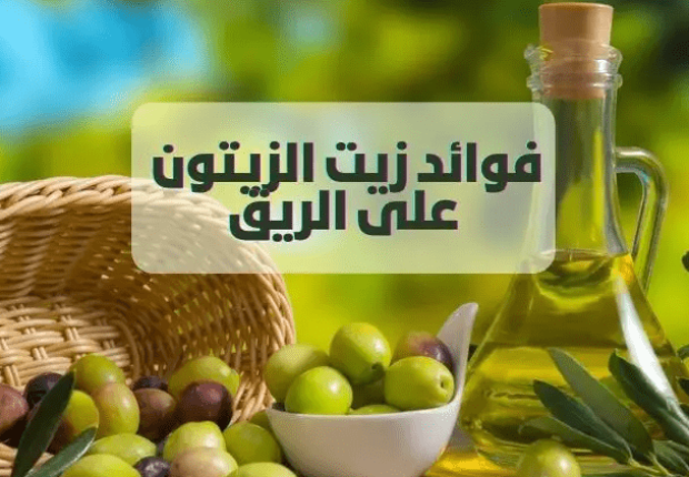ما هي فوائد زيت الزيتون على الريق ؟