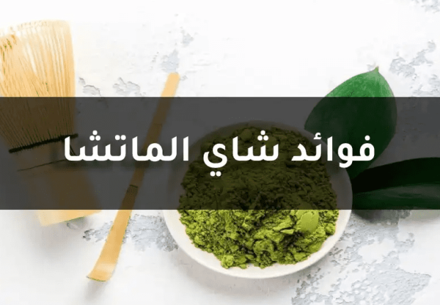 فوائد الماتشا
