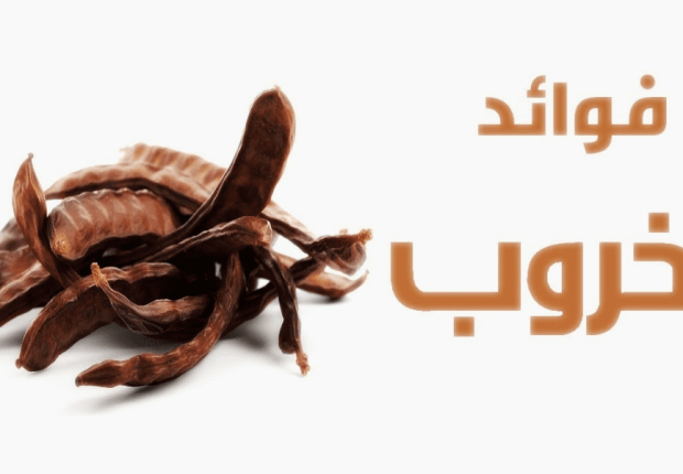 فوائد الخروب