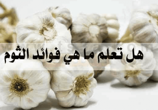 فوائد الثوم