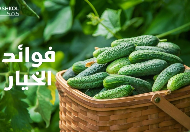 فوائد الخيار
