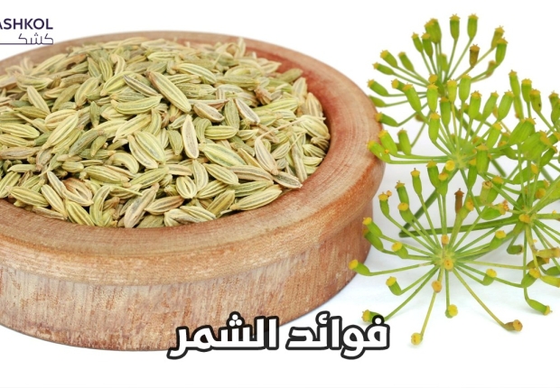 فوائد الشمر