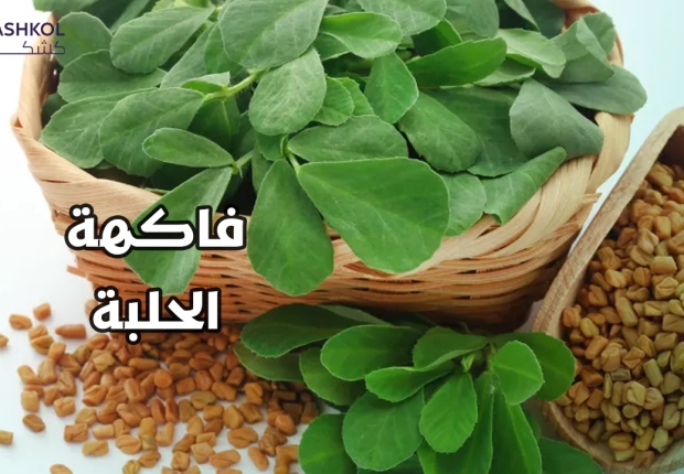 فاكهة الحلبة
