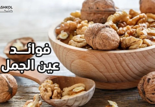 فوائد عين الجمل