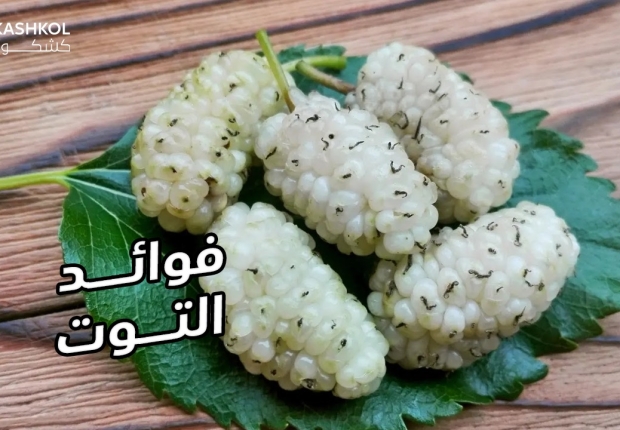 فوائد التوت