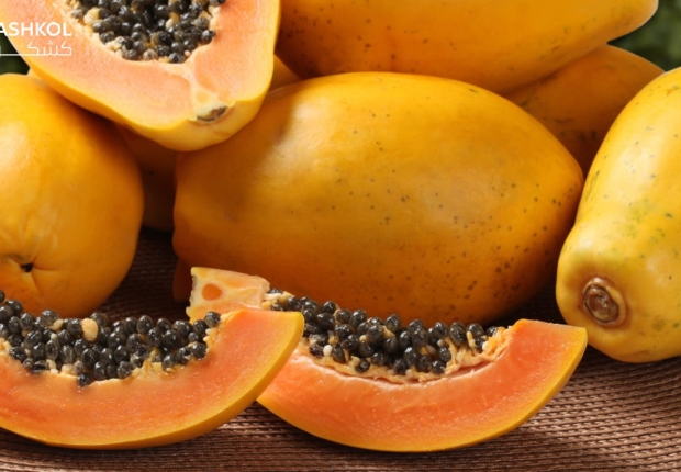 فوائد البابايا