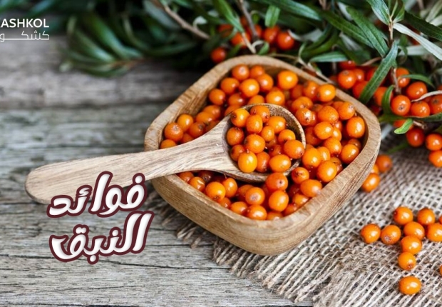 فوائد النبق