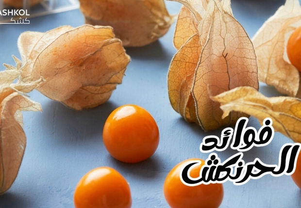 فوائد الحرنكش