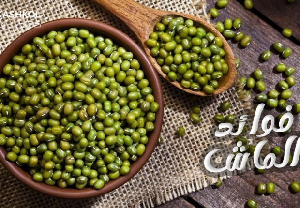 فوائد الماش