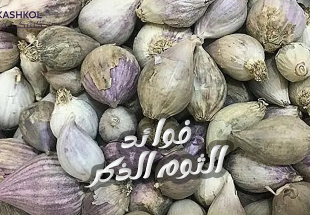 الثوم الذكر
