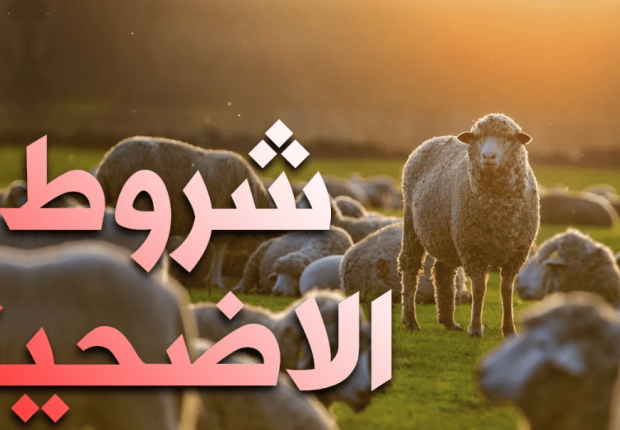 شروط صحة الأضحية