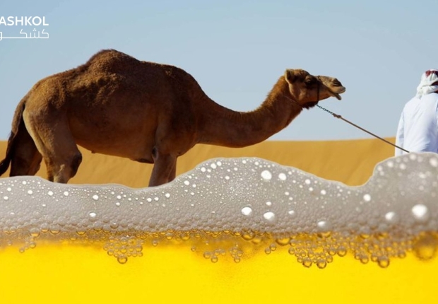 فوائد بول الابل