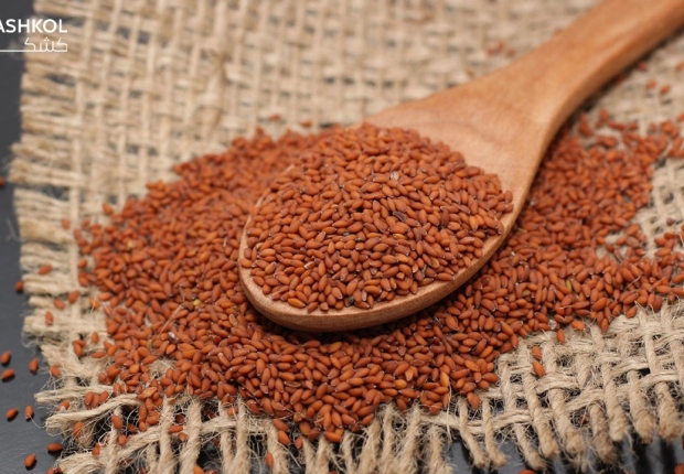 بذور الرشاد