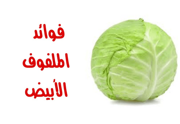 فوائد الملفوف الابيض