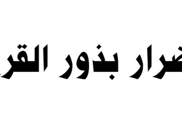أضرار بذور القرع
