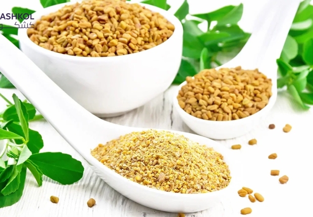 فوائد الحلبة للجسم