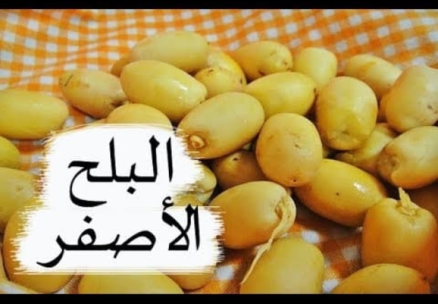 البلح الاصفر