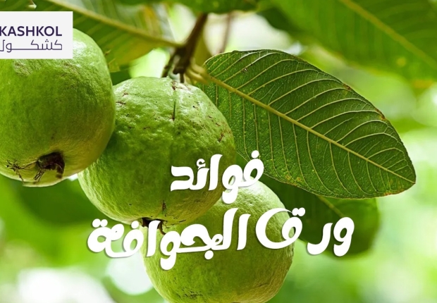 فوائد اوراق الجوافه