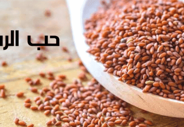 بلع حب الرشاد على الريق