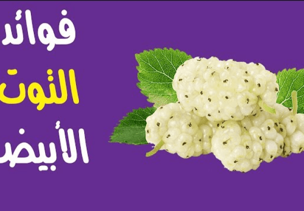 فوائد التوت الأبيض