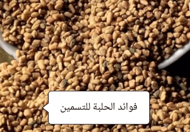 فوائد الحلبة للتسمين