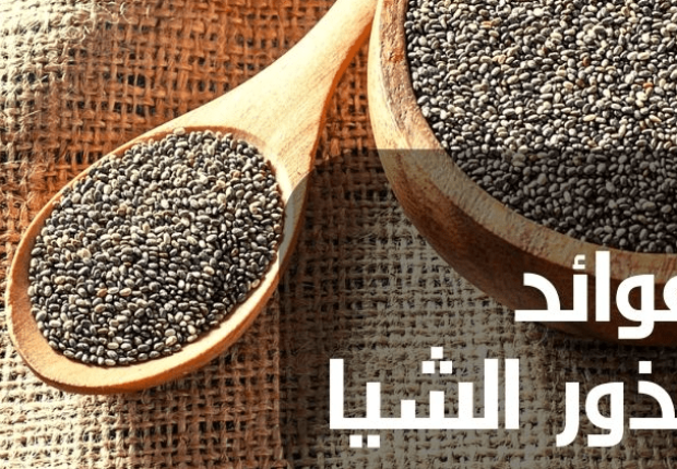 فائدة بذور الشيا