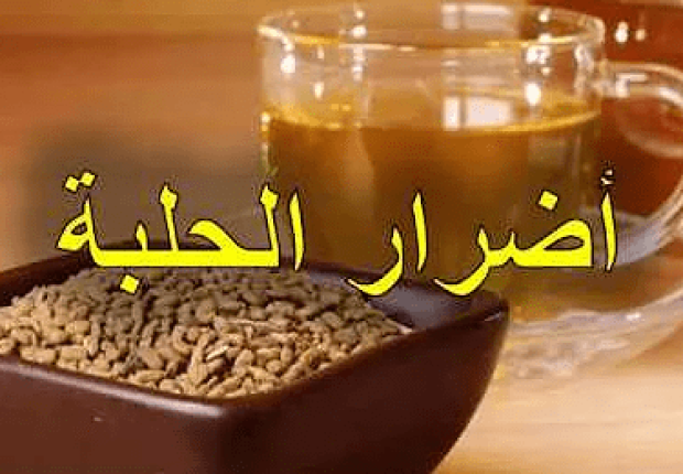 أضرار الحلبة على الكلى