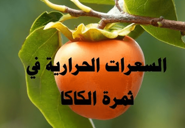 السعرات الحرارية في الكاكا