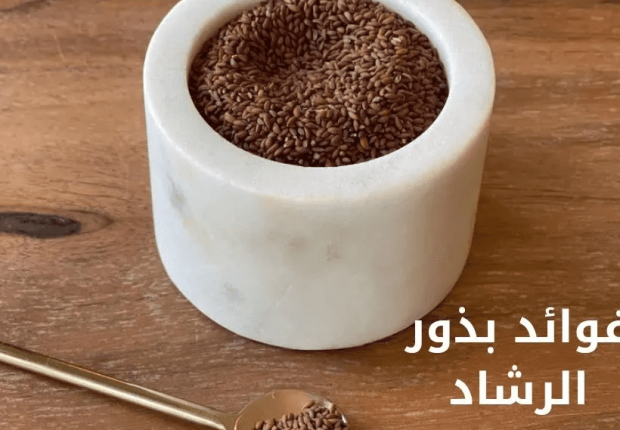 فوائد بذور الرشاد