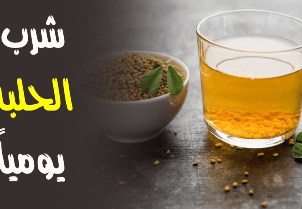 فوائد شرب الحلبه