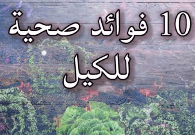 فوائد الكيل