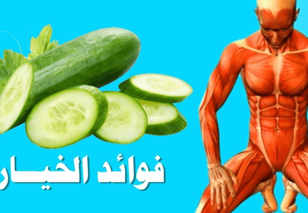 فوائد خيار