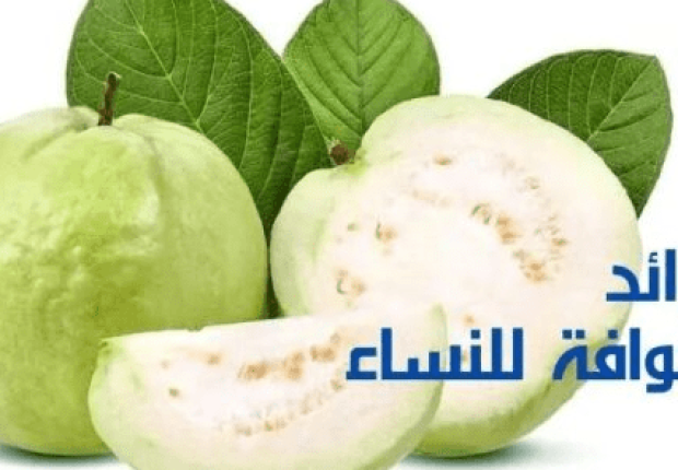 فوائد الجوافة للنساء