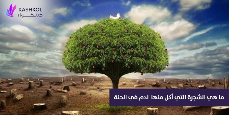 ماهي الشجره التي اكل منها ادم في الجنه ؟