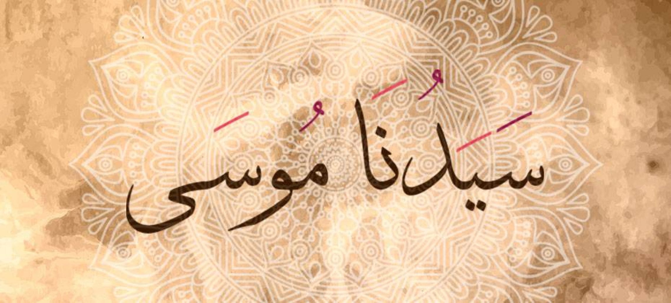 لماذا يحيي الله سيدنا موسى كل ليلة في قبره ؟