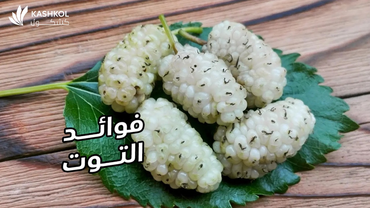 فوائد التوت