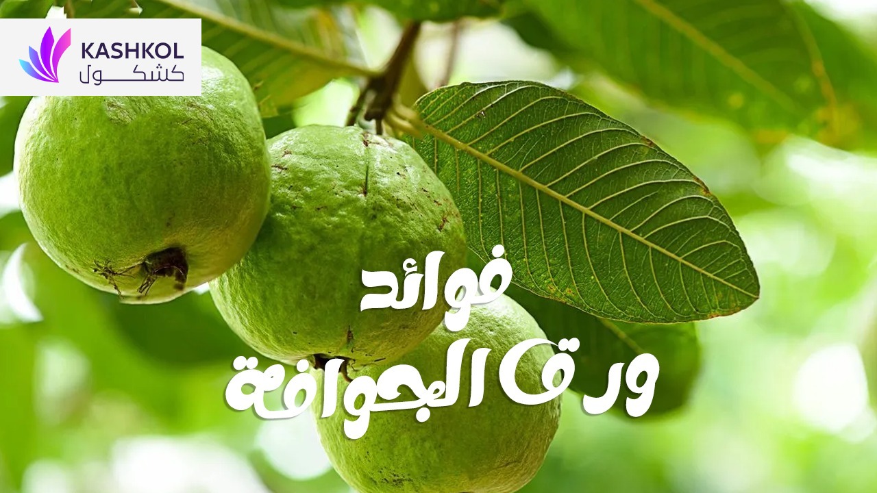 فوائد اوراق الجوافه