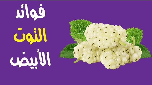 فوائد التوت الأبيض