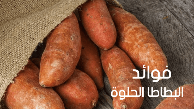 فوائد بطاطا حلوة