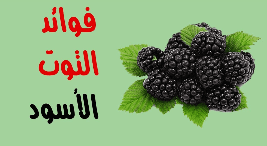 فوائد التوت البري الأسود